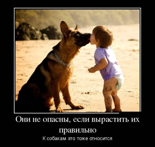 Демотиваторы (30 фото) Демотиваторы (30 фото)