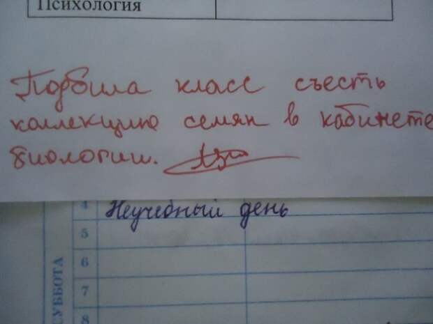 Учительские перлы из школьных дневников дневник, записи, записи в дневниках, школа, юмор