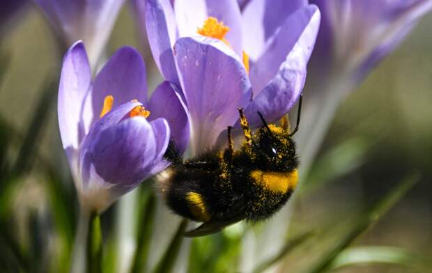 Москва побила метеорекорд 20-летней давности