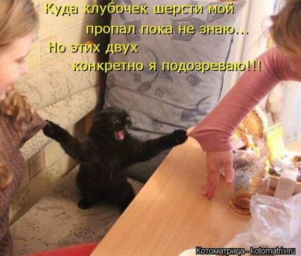 Котоматрицы(картинки с надписями)