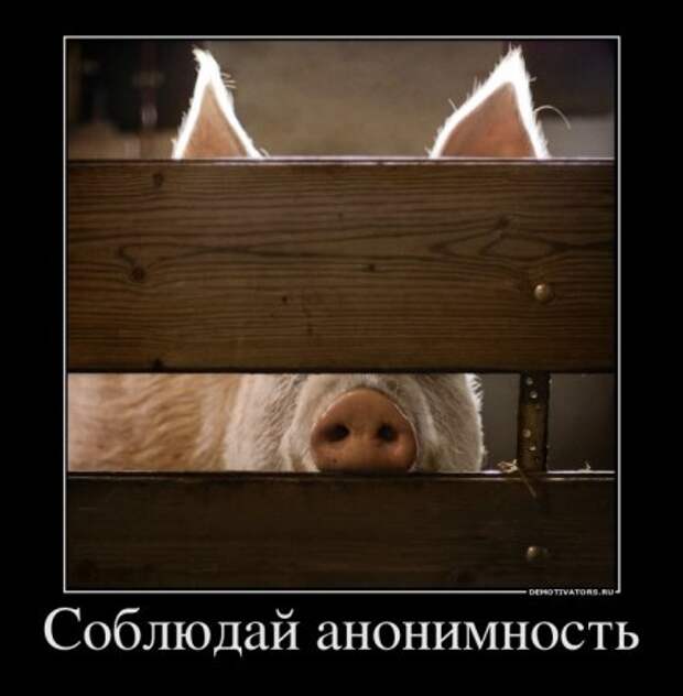 Демотиваторов у нас столько, что всех и не пересмотришь.