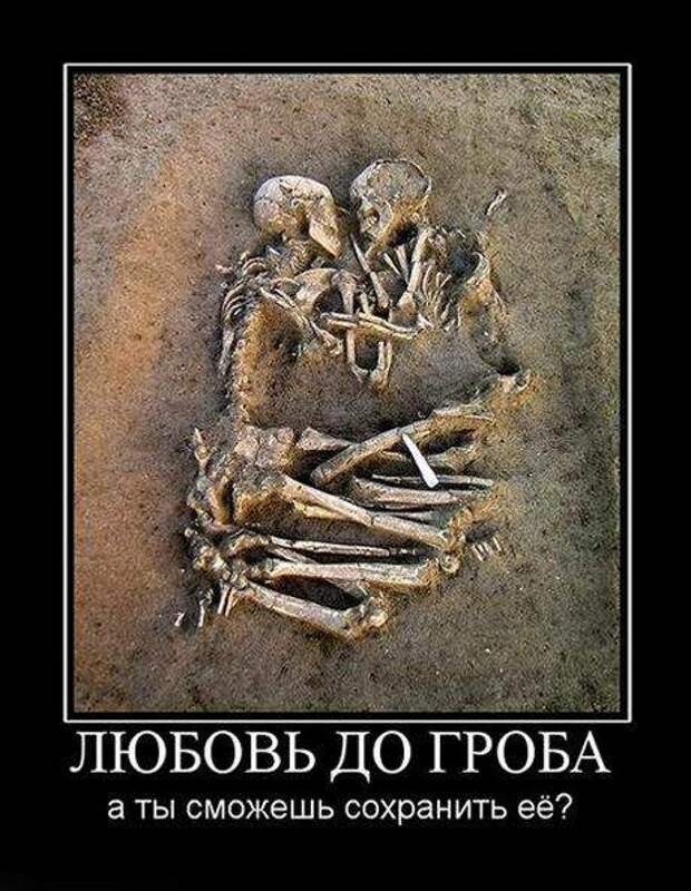 Демотиваторы (133 картинки)