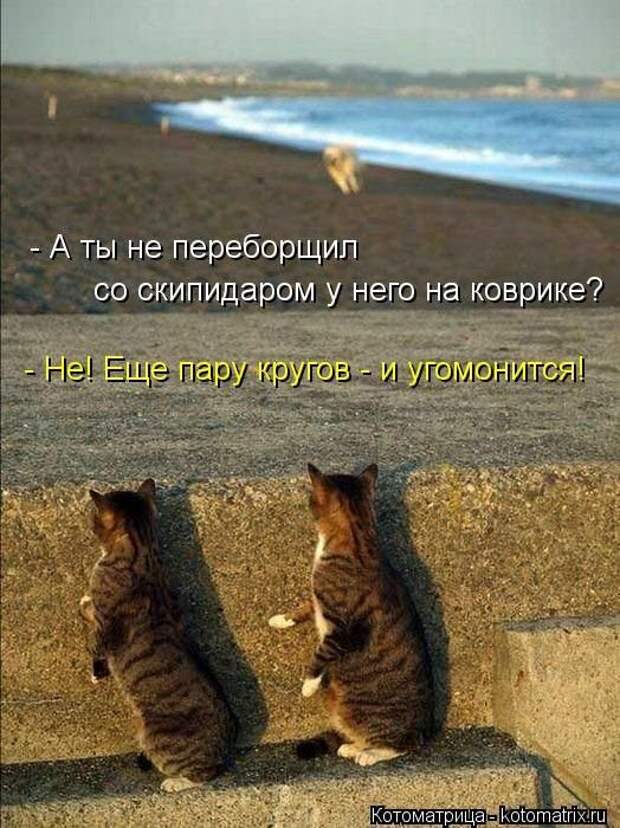 Позитивные зверушки. Весёленькие фото Позитивные зверушки. Весёленькие фото