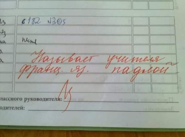 смешная запись в дневнике школьника