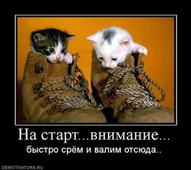 Демотиваторы новые и только смешные.