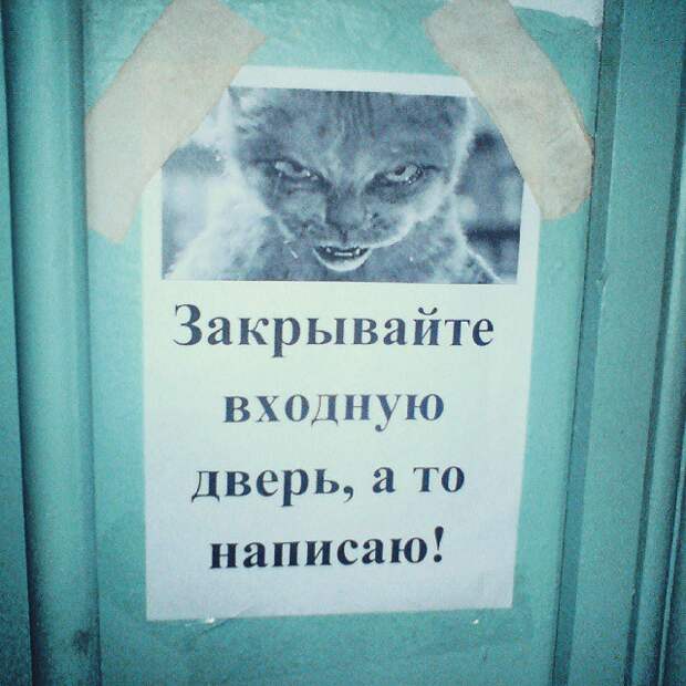гениальные объявления в подъездах