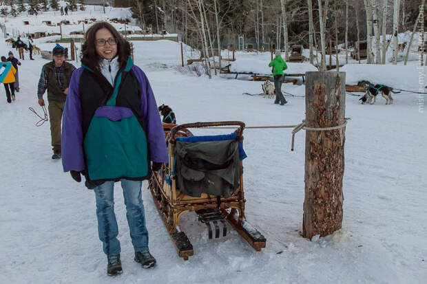 Ездовые собаки на горнолыжном курорте Aspen Snowmass