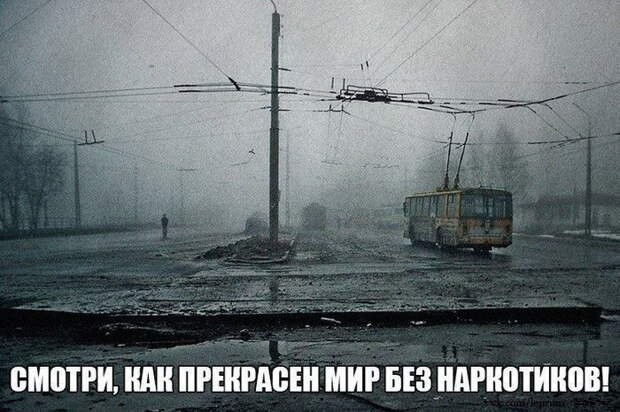 Фотоприколы кучей