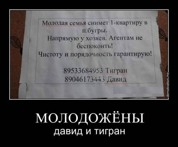 Немного новых демотиваторов