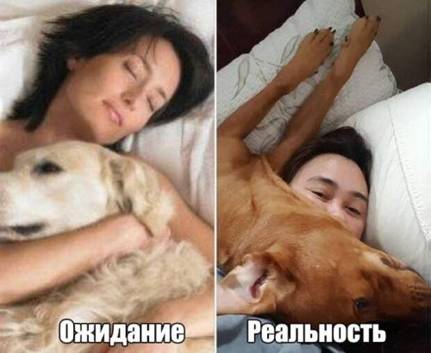 Снова прикольные картинки (51 шт)
