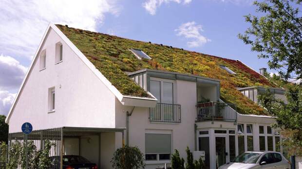 Современный дом в Германии зелёные крыши, экологичный дом