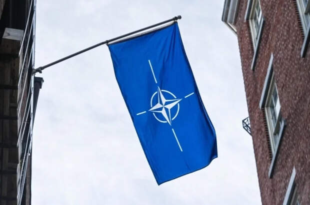 Спикер парламента Словении хочет провести референдум о выходе из НАТО