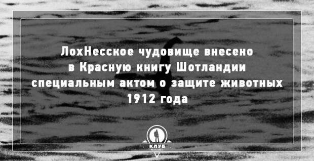 9 интересных фактов о мире в мире, факты