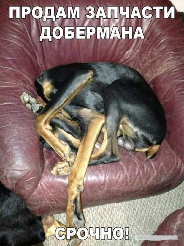 Лучшие свежие мемы (четверг)