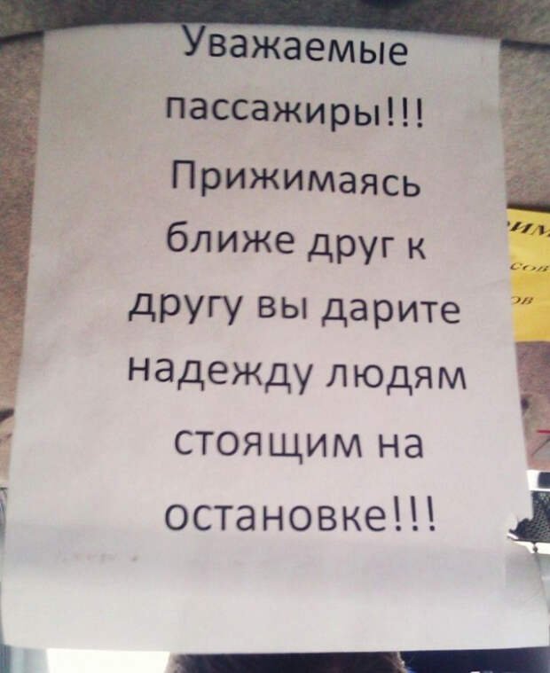 самые добрые объявления 