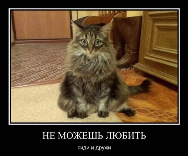Демотиваторы (30 фото)