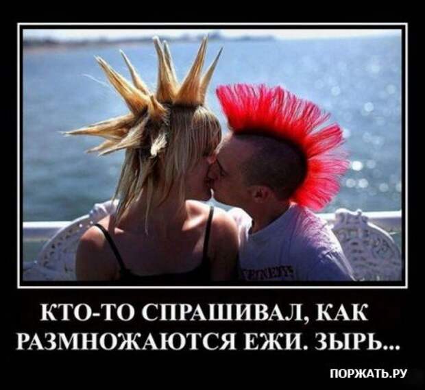 Демотиваторсы