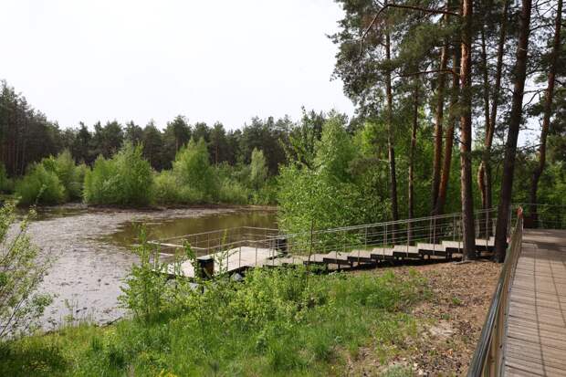 На Утином озере в Дзержинске начали демонтаж дорожек для расчистки дна