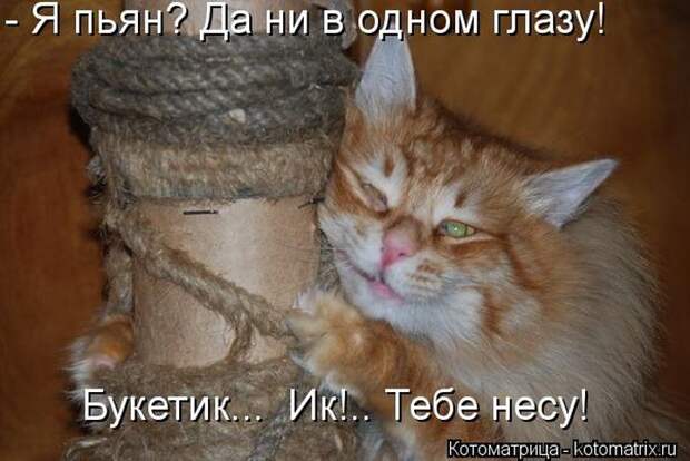 Мысли вслух Мысли вслух