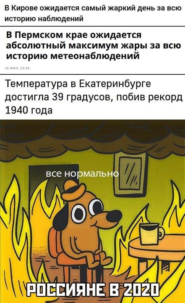 www.vsyako.net