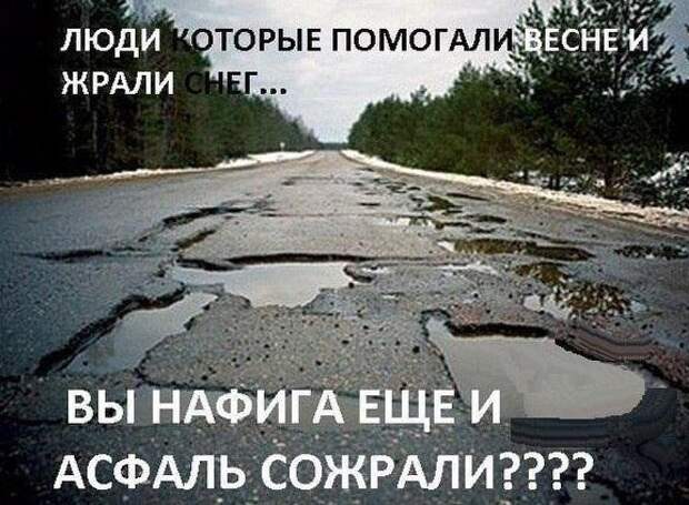 Забавные фотомемы