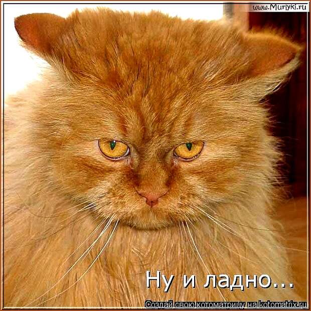 ОКТЯБРЬ  УЖ  НАСТУПИЛ...  - НУ  И  ЛАДНО...