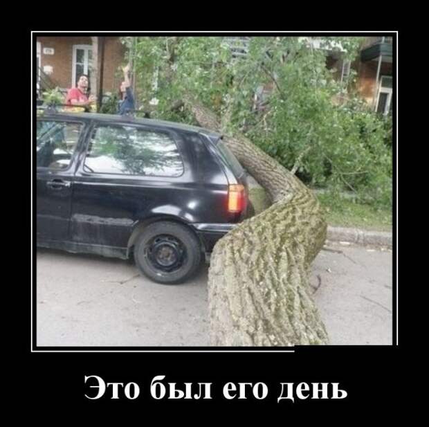 Демотиваторы (30 фото) Демотиваторы (30 фото)