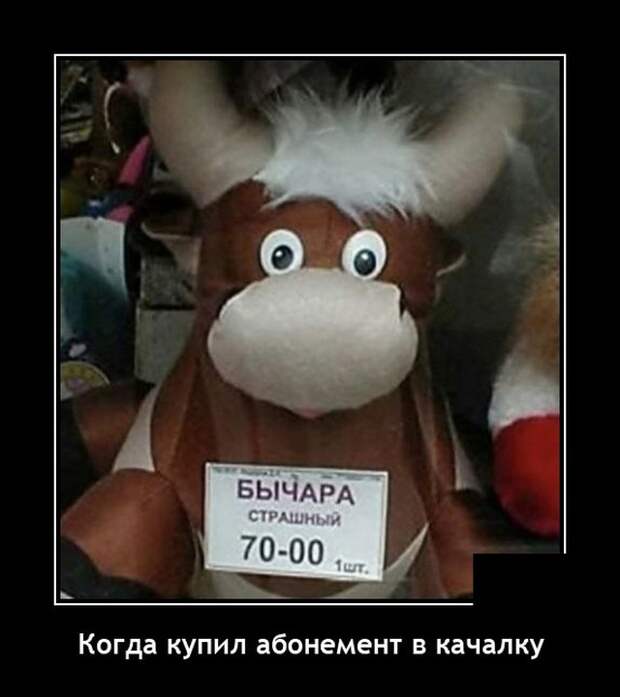 Демотиваторы 13 августа 2021 года