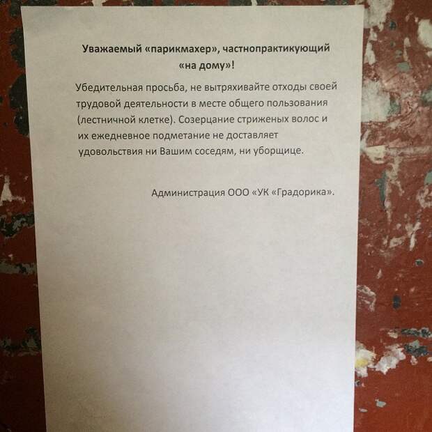 гениальные объявления в подъездах 