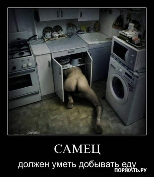 Свежие демотиваторы!