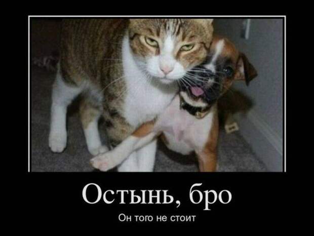 Демотиваторы, часть 47 (40 фото) Демотиваторы, часть 47 (40 фото)