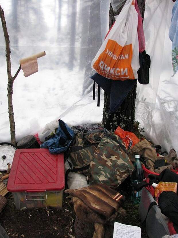 Отпуск в лесу