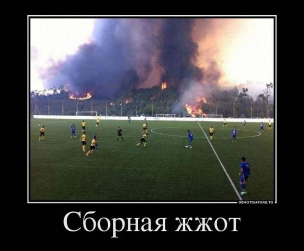 Прикольные демотиваторы