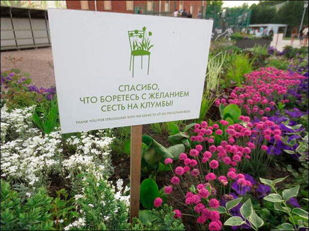 Смешные объявления, вывески, рекламки, ценники. часть 69 (27 фото)
