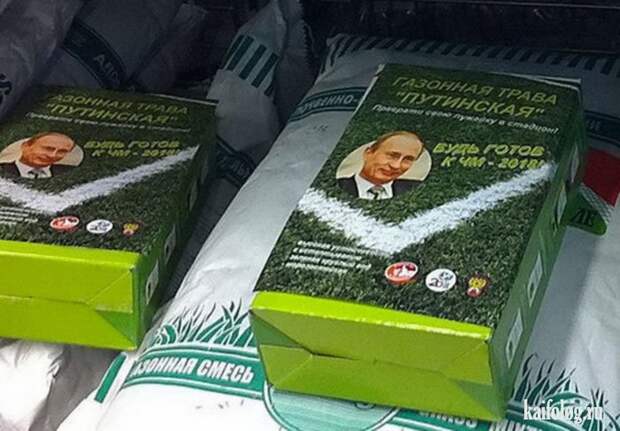 Прикольные семена (35 фото)