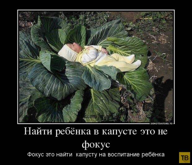 Демотиваторы (30 фото) Демотиваторы (30 фото)