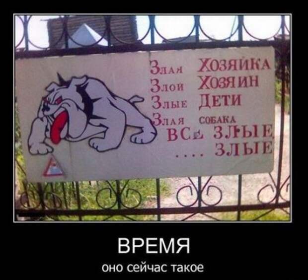 Демотиваторы, приколы без особого смысла.