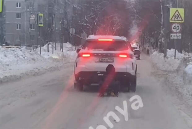 Под Москвой родители прокатили ребенка на привязанном к машине снегокате и попали на видео
