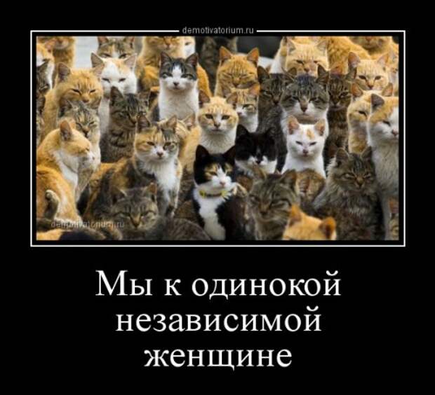 Новые демотиваторы (15 шт)