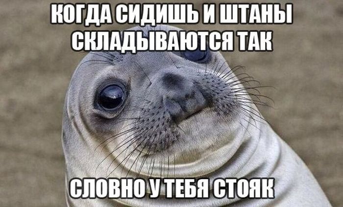 Смешные картинки картинки, прикол, юмор