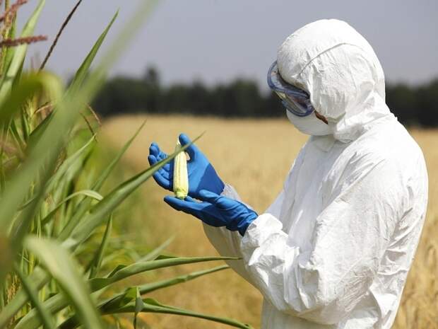 Отмена запрета на ГМО, назальная российская вакцина и запахи регионов России