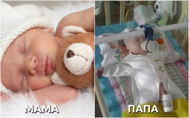 мама, папа, отличия