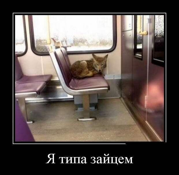 Демотиваторы  демотиваторы, прикол, смех, юмор