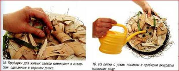Лето в сумке