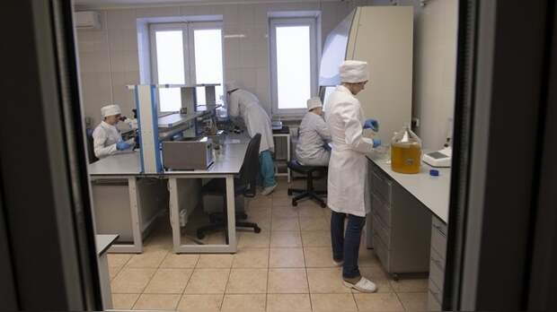 Эксперты: Лженаука в России не встречает должного отпора