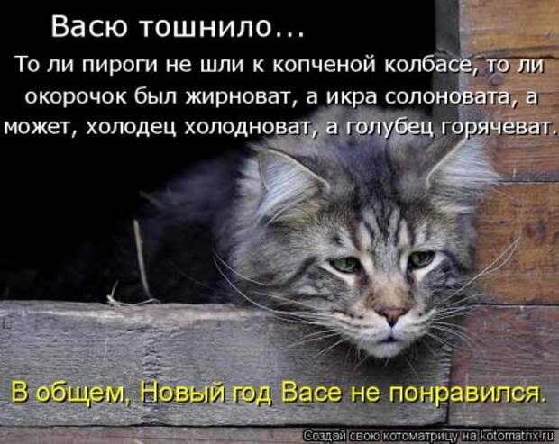 Кошкоматрицы.