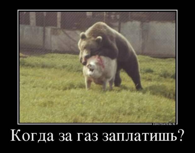 Демотиваторы  демотиваторы, прикол, смех, юмор