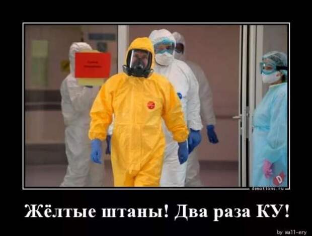 Демотиваторы про коронавирус с надписями. Подборка chert-poberi-dem-koronavirus-chert-poberi-dem-koronavirus-40040411082020-11 картинка chert-poberi-dem-koronavirus-40040411082020-11