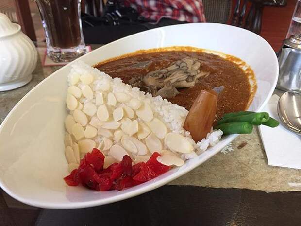 рисовые дамбы, Япония