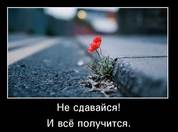 Демотиваторы (30 фото)